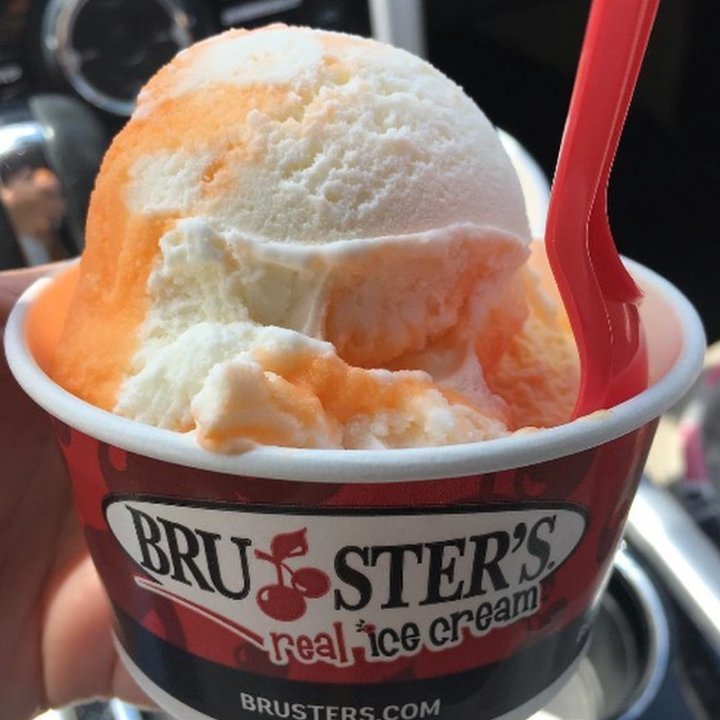 Bruster`s Ice Cream