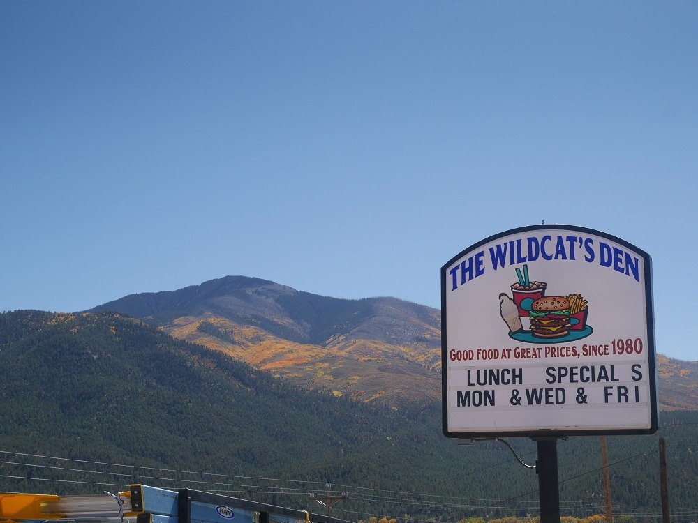 Wildcat`s Den