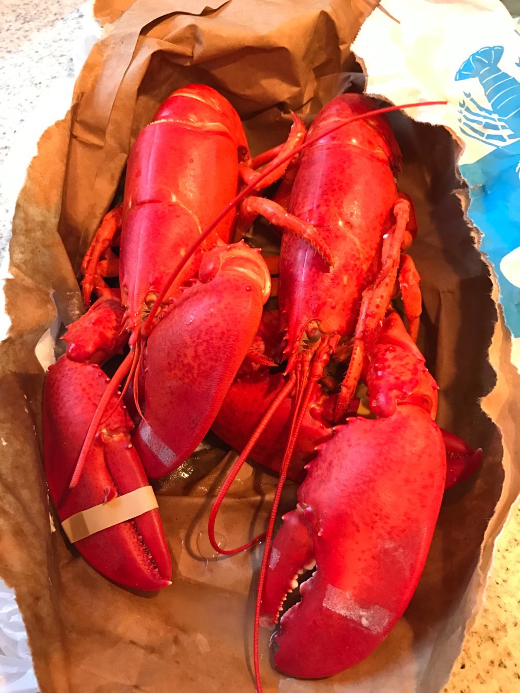 Naples Lobster Pound