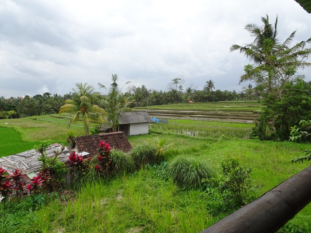 Warung Bodag Maliah